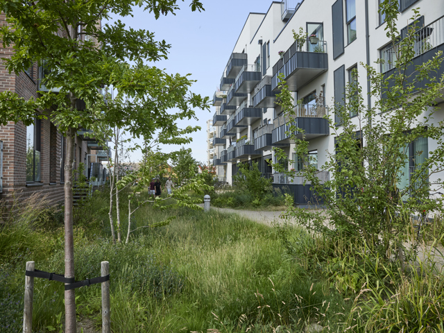 CHF 250703 Real Dania Køgebydel EES4259