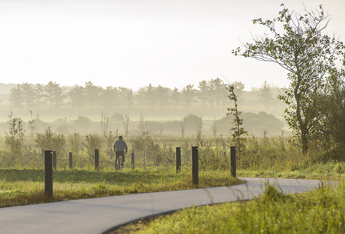 Naturbydelen Morgendis