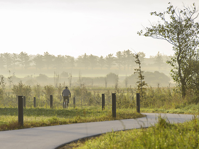 Naturbydelen Morgendis