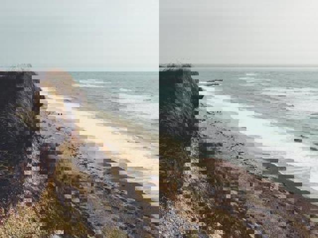 1061 450X450