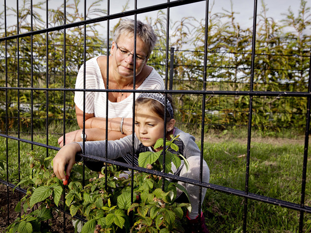 Naturbydelen Hindbærhave