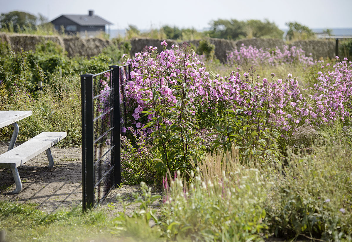 Naturbydelen Skærehave