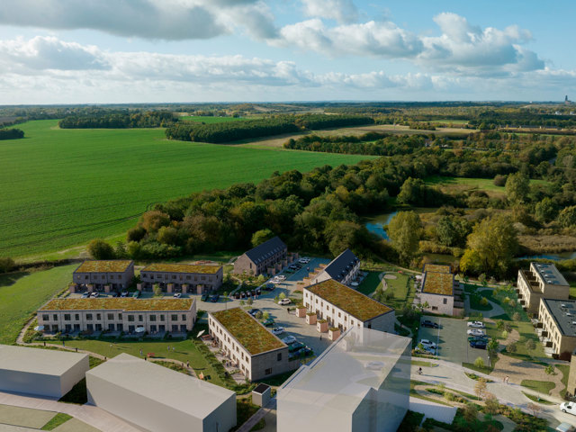 Ahorn Rækkerne Fra Luften Visualisering