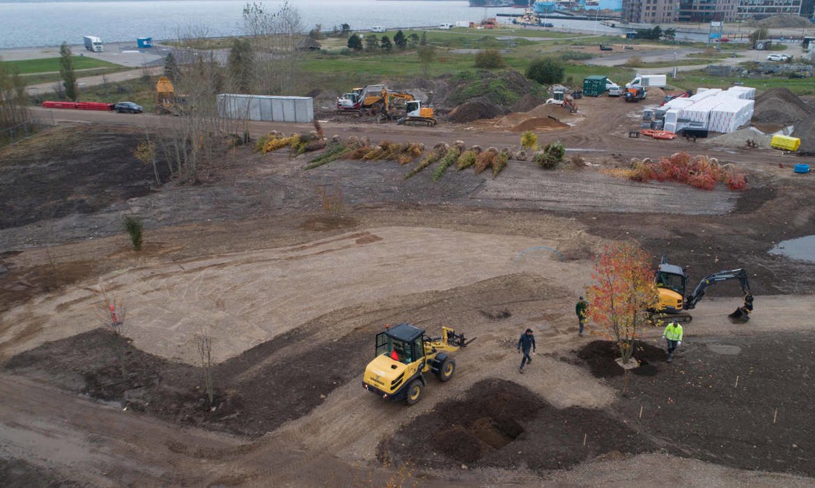 Træplantning I Søndervold 2 Foto Klavs Lind Web