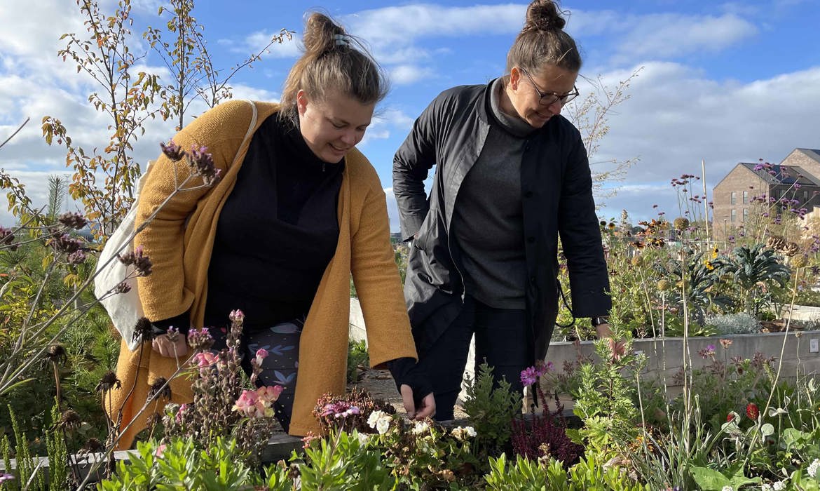 Maria Levesen og Tina i byhaverne