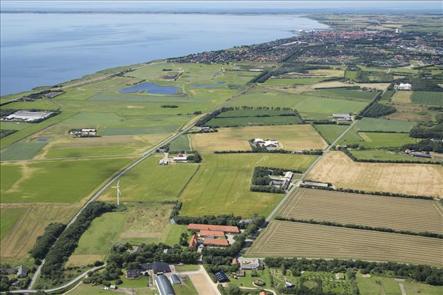 Vestjyllands Hoejskole