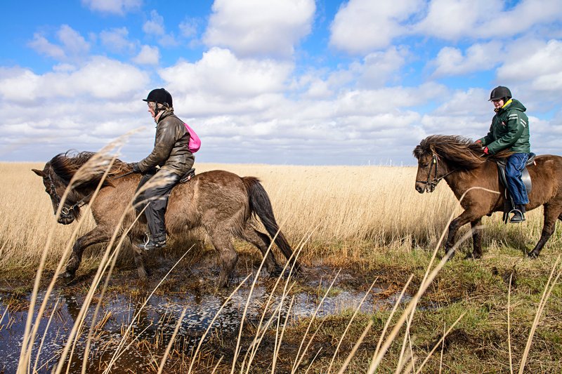 Ridning I Ringkøbing