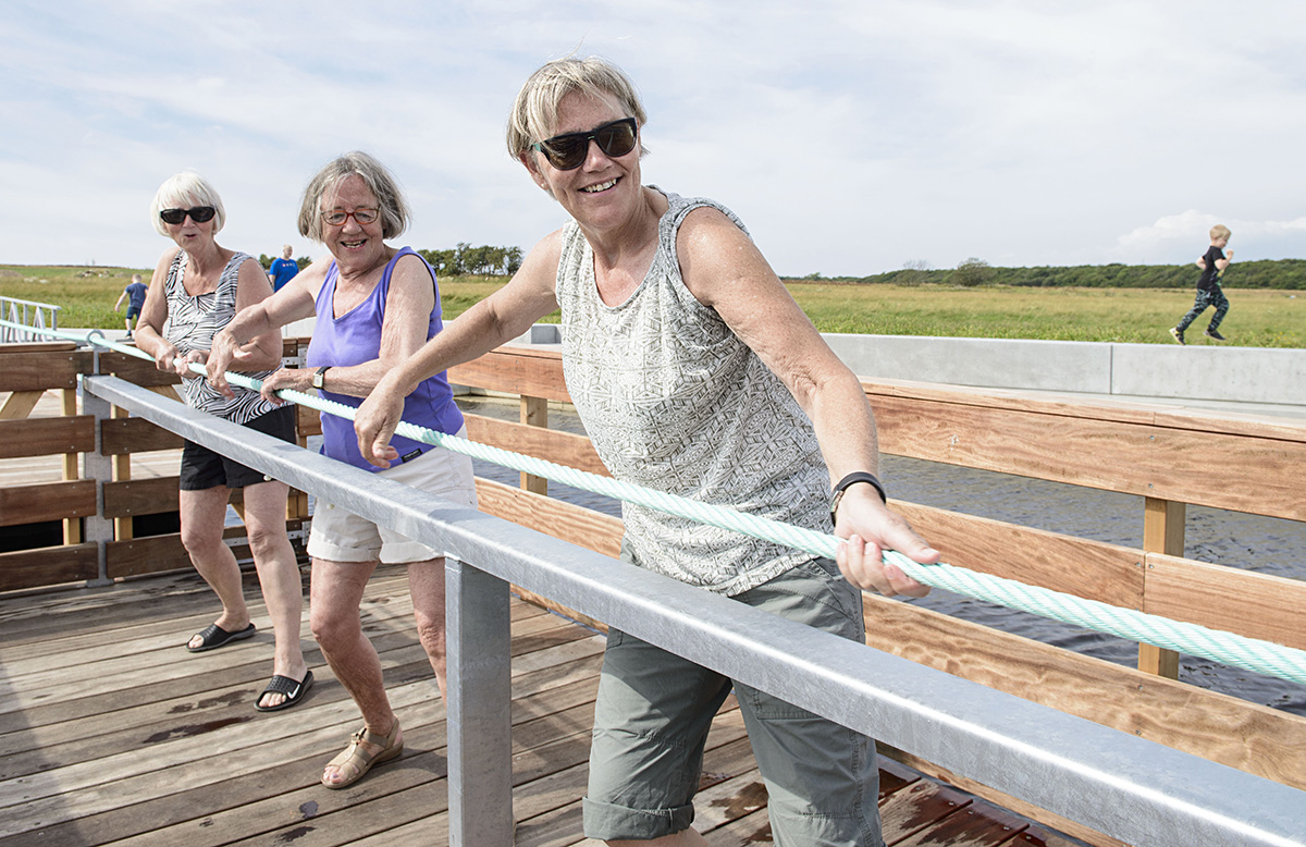 Trækfærge Naturbydelen Veninder