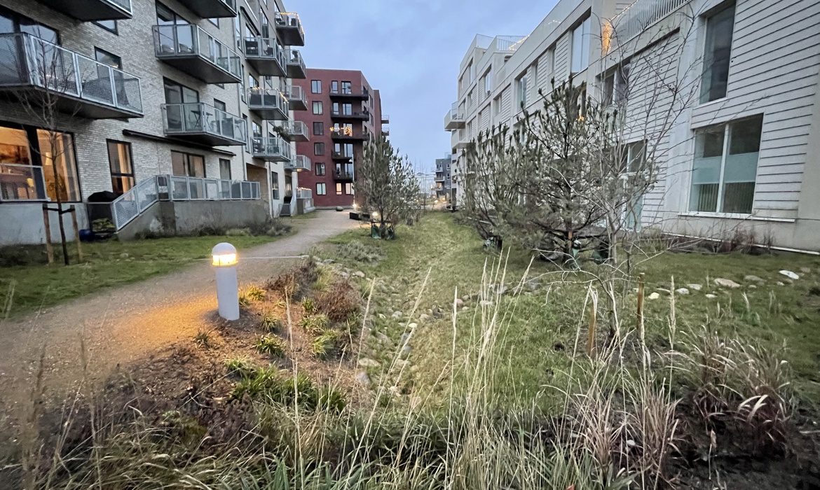 Pressefoto Alminding mellem Havblik og Strandterrasserne