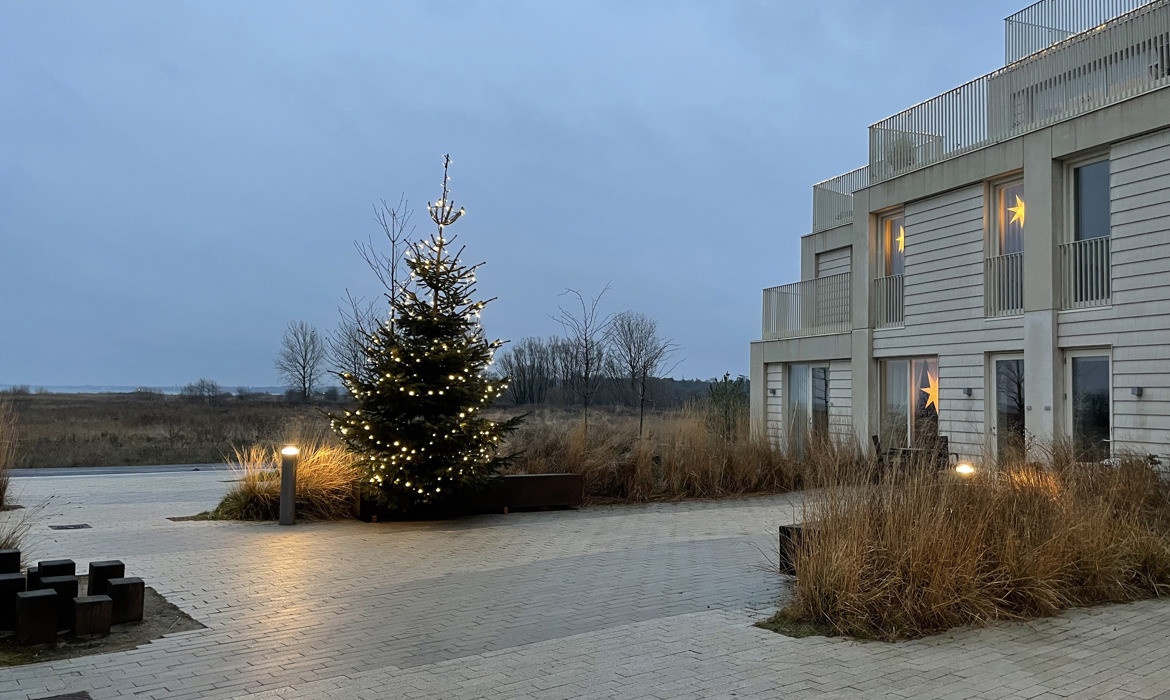 Pressefoto Juletrae ved Strandterrasserne