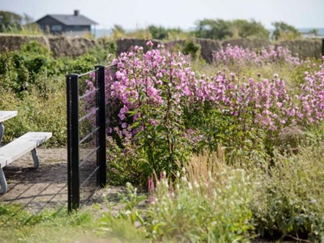 Skærehaven Jørn Deleuran Web