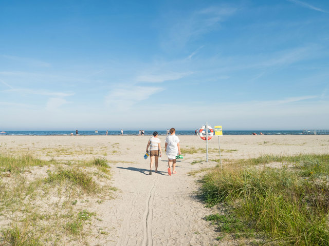 Strand Web