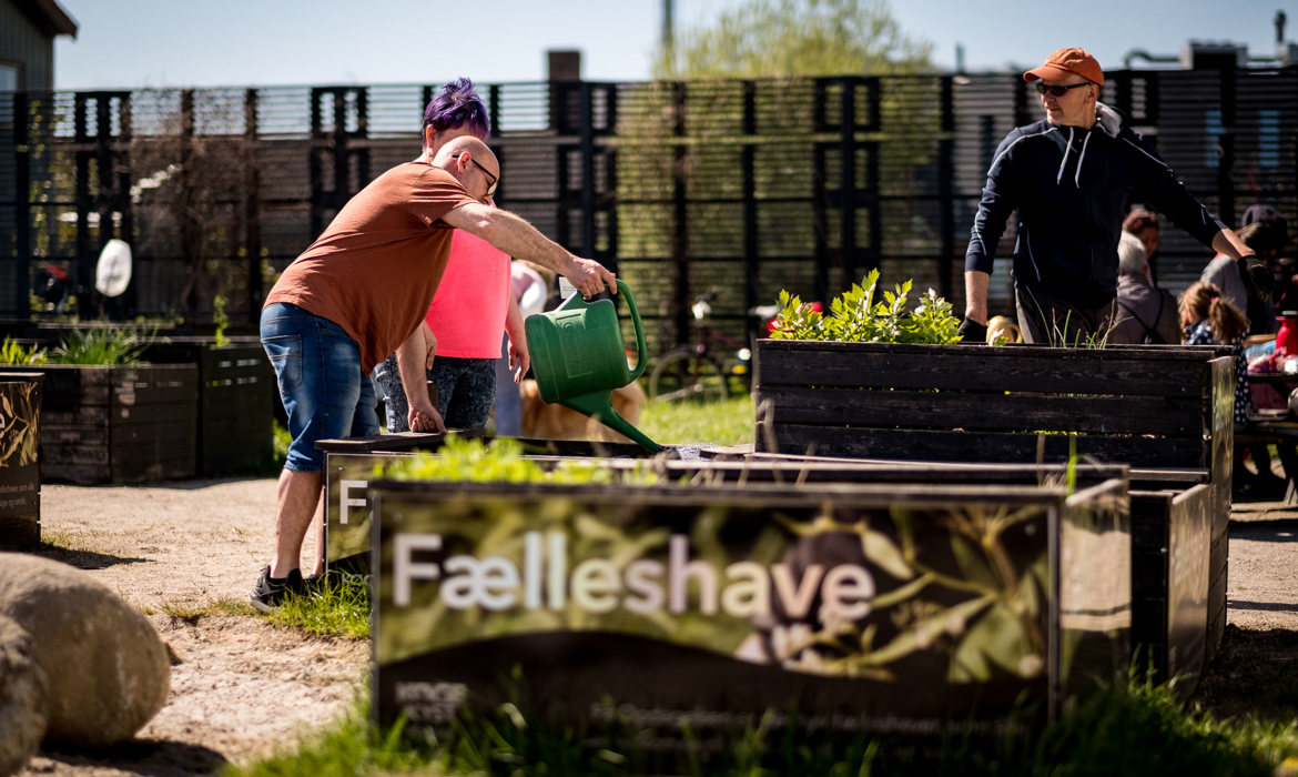 Fælleshaver i Opdagelsen