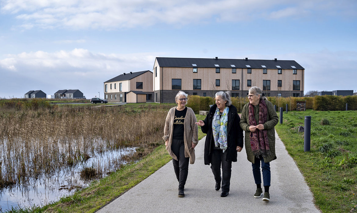 Naturbydelen med Havtorn og Strandkanten i baggrunden